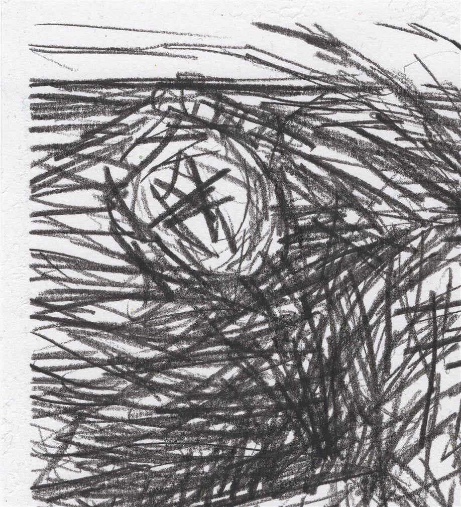 Transforming into a spider.