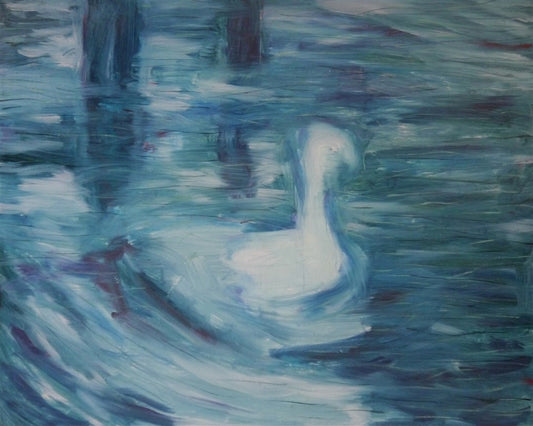 Swan swimming in a puddle.