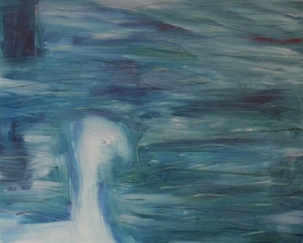 Swan swimming in a puddle.