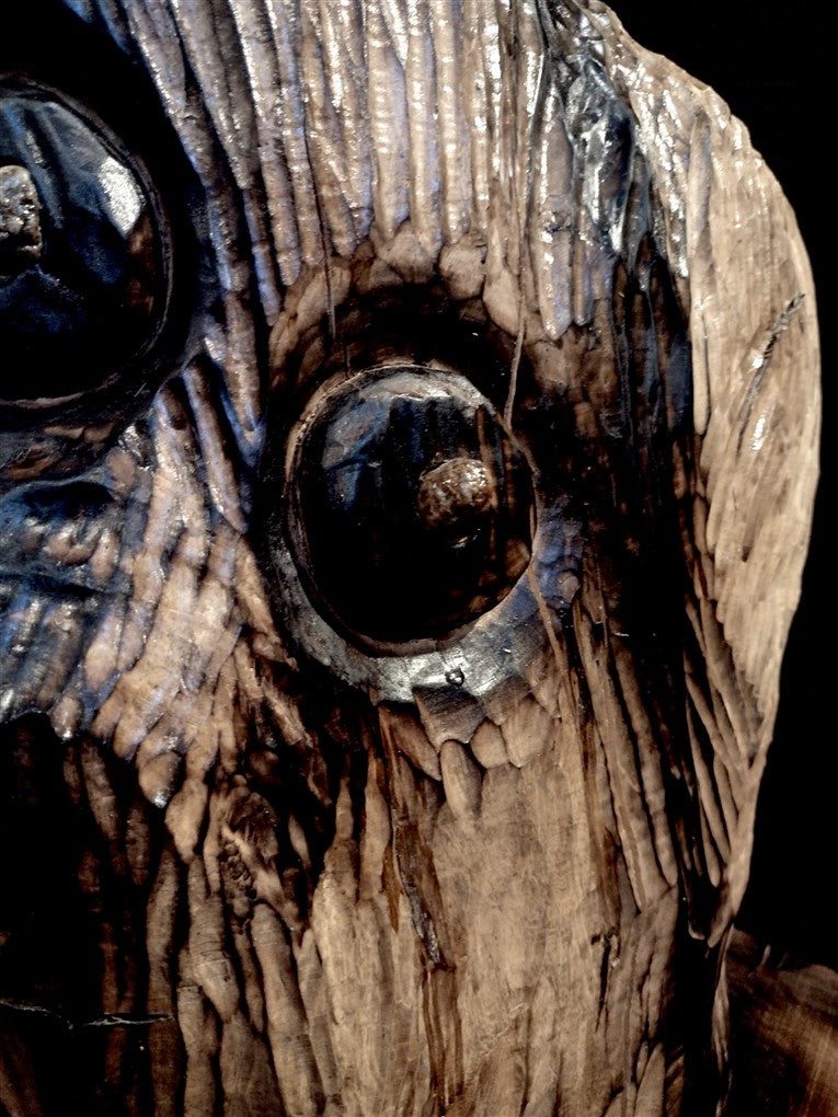 The head of the sage.