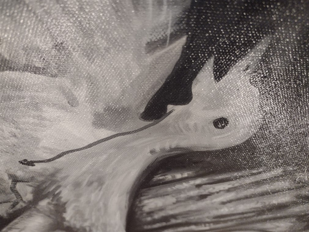 North versus south versus east versus west.