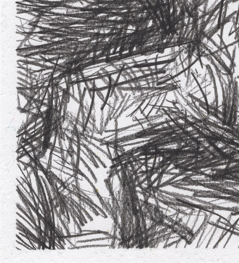 Transforming into a spider.