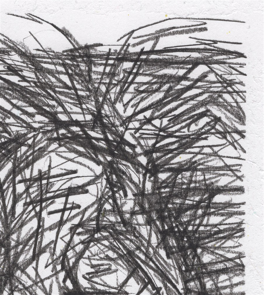 Transforming into a spider.